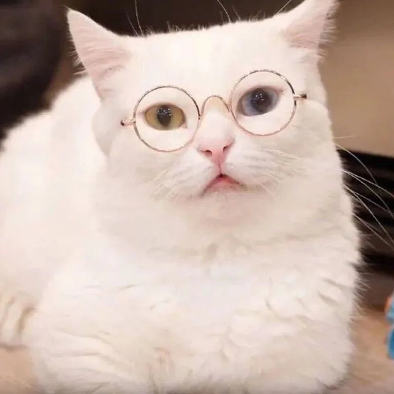 Pet Accessories Cat Glasses Non-slip Kitten Glasses Small Dog Sunglasses Puppy Kitty Cat Sunglasses Cosplay Costume Photos Props