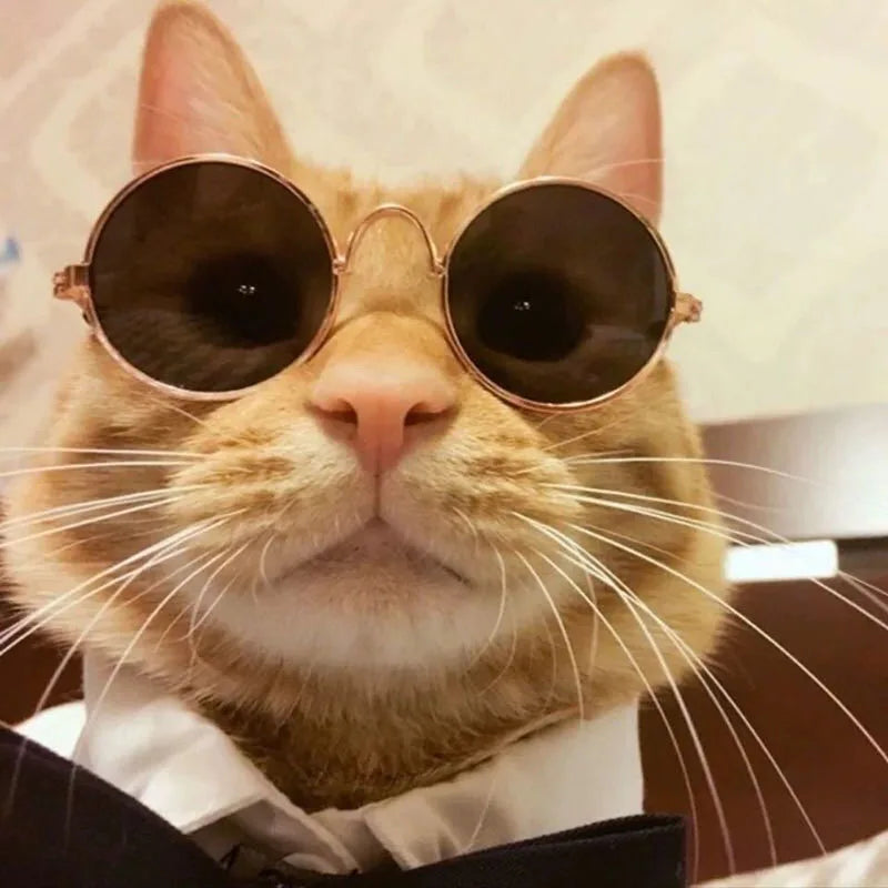 Pet Accessories Cat Glasses Non-slip Kitten Glasses Small Dog Sunglasses Puppy Kitty Cat Sunglasses Cosplay Costume Photos Props