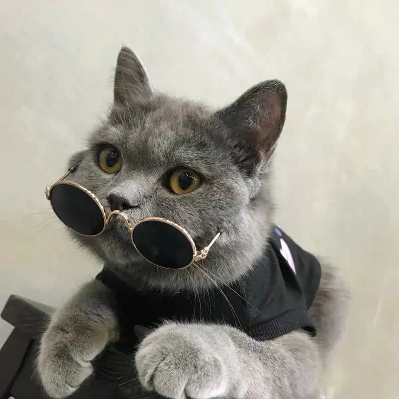 Pet Accessories Cat Glasses Non-slip Kitten Glasses Small Dog Sunglasses Puppy Kitty Cat Sunglasses Cosplay Costume Photos Props