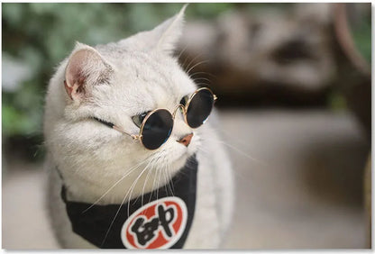 Pet Accessories Cat Glasses Non-slip Kitten Glasses Small Dog Sunglasses Puppy Kitty Cat Sunglasses Cosplay Costume Photos Props