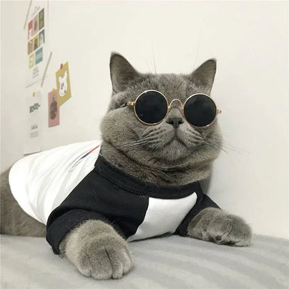 Pet Accessories Cat Glasses Non-slip Kitten Glasses Small Dog Sunglasses Puppy Kitty Cat Sunglasses Cosplay Costume Photos Props