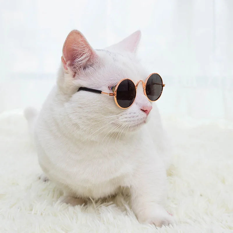 Pet Accessories Cat Glasses Non-slip Kitten Glasses Small Dog Sunglasses Puppy Kitty Cat Sunglasses Cosplay Costume Photos Props